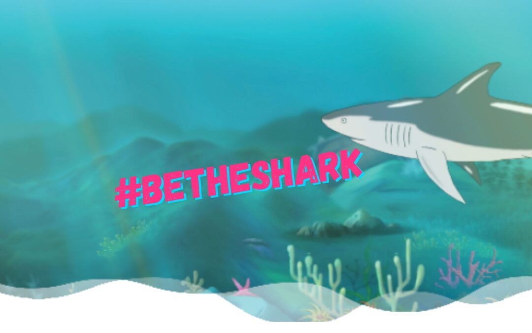 How (and why) to #BETHESHARK